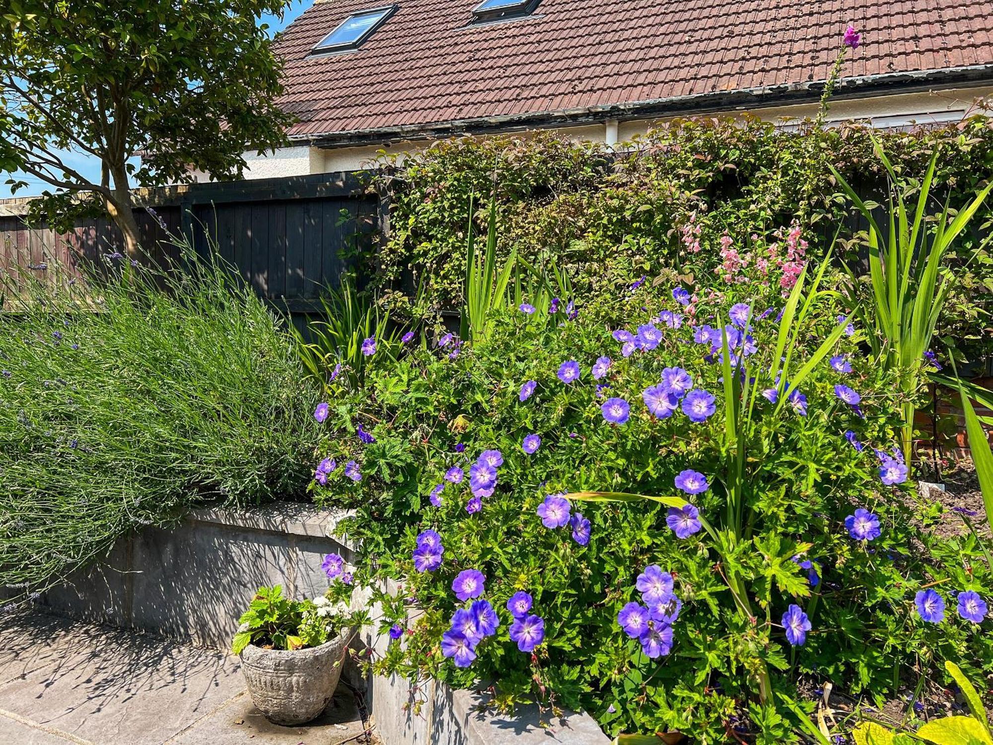 Cwtch Cottage Cardiff Kültér fotó